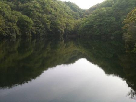 下ってくると池があったけど、この池もなかなか美しい感じがした