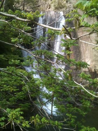 これが布引滝かな！？木が邪魔でここからだとわからない