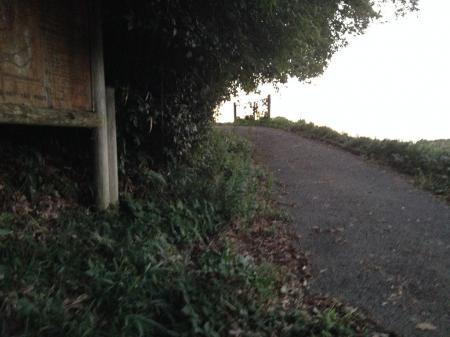 車止めよりスタート