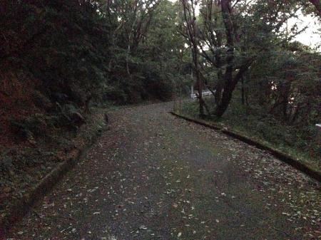 こういった道が続く