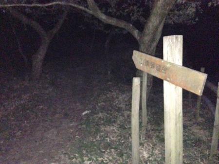 山頂の展望台直下からは少し登山道になる