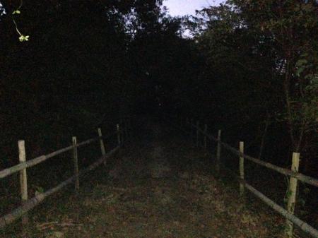 この先が展望台