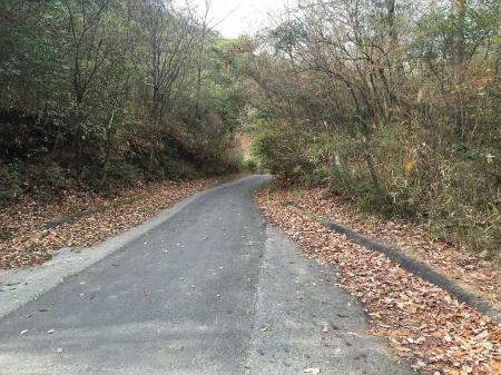 この辺りから沢へ降りていく