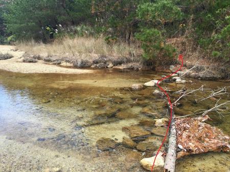 渡りにくいがなんとか渡った