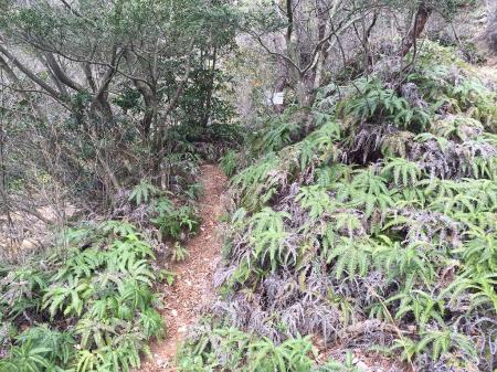 道なりに進んでいく