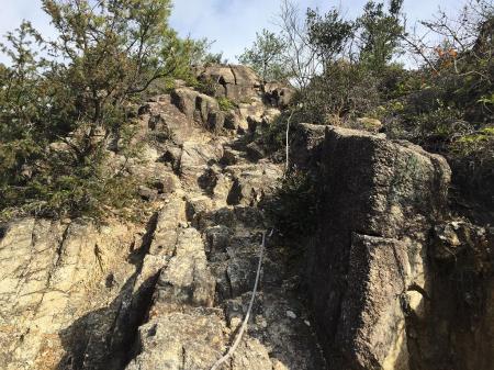 ロープが垂らしてあった