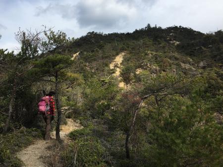 じゃんじゃん道なりに登っていく