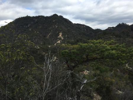 堂山が見えたけどまだあんなに高いのか