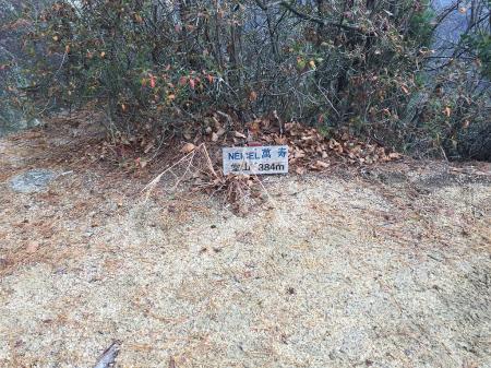 とても384mの山とは思えない感じだった