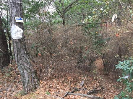 さっきのところに戻りダムの方向へ