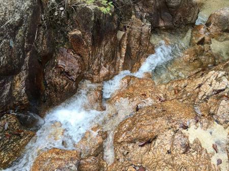 沢の風景はいい感じ。ちょっと異世界にきた感じ
