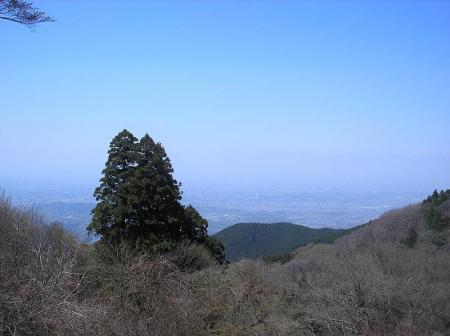 国見城址広場からは大阪平野が一望できる