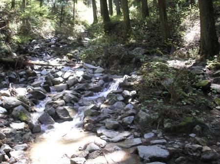 カトラ谷は谷というだけあって沢沿いの道を進んでいく