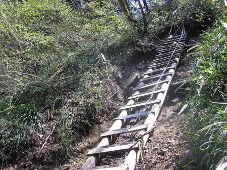 登山道はハシゴが設置されていたり整備はされているようだ