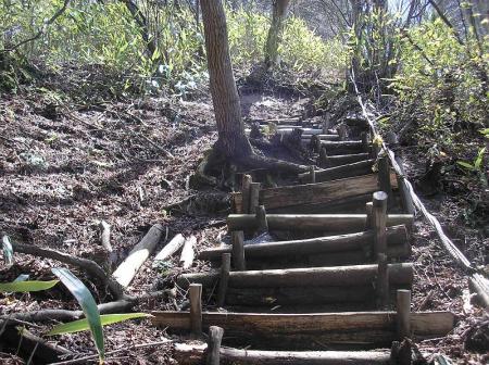 階段も多いけど、ここまで来るとあともう少しかも