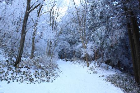 ダイトレに入る
