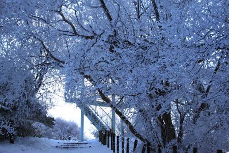 展望台にはいかなかった