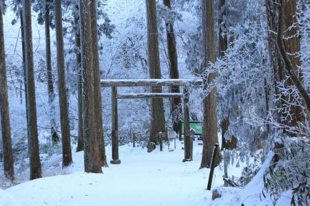 金剛山頂を目指す
