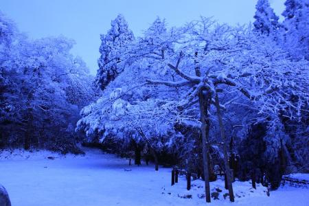 今日の山頂広場の様子