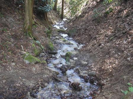 沢沿いに歩いていくけど増水してたらここは歩くの大変というかヤバイかも