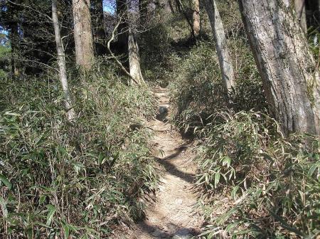 踏み跡はあるので方向を間違えず歩いて行けばいいが道標などない