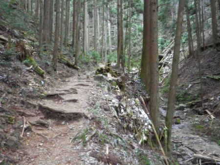 沢沿いの道にまだ雪はない。上は大丈夫なんだろうか？氷瀑はとけてないないだろうか心配だった