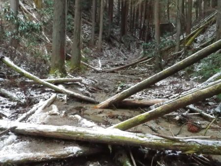 いくつかの堤防を越えていくんだけど、登山道は荒れている