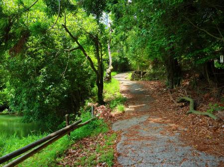 高代寺の参道らしいけどしばらく舗装道が続く