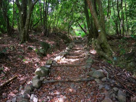 この付近から登山道になる。一本道で道標もあるので迷うことはなさそう