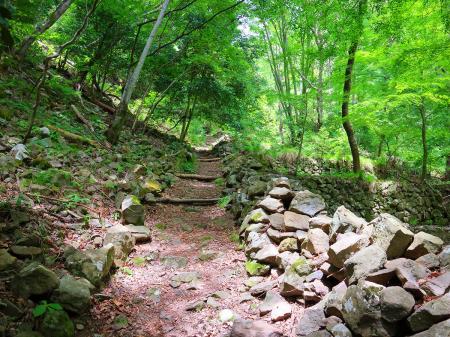 登山道を歩いていると右手に石垣が結構あったけど、昔に何か使われていたっぽい