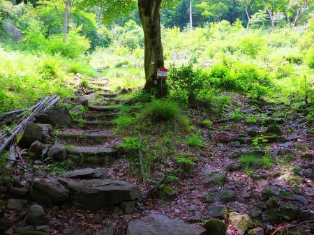 通報ポイント6番。石の階段続きでペースが乱されてるけど、ここまでくるとあともう少しで道路に出る