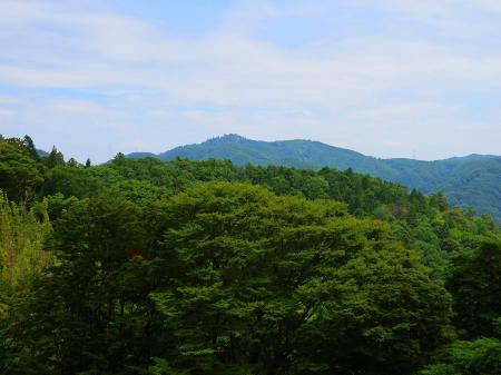 道路から東側の山が見えるけど、妙見山が見えてるのかな！？