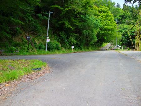 ここで高代寺は直進だが、高代寺山の山頂は左に折れる。先に山頂へ向かう