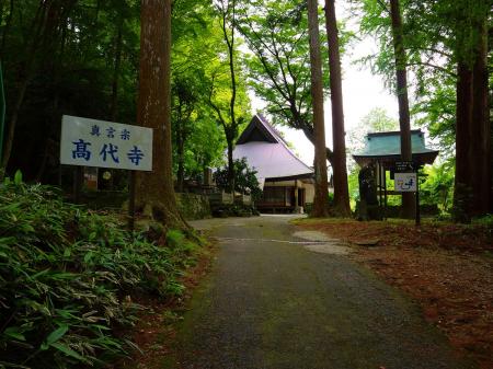 せっかくなので高代寺のツキノワグマを見に行ってみることにした