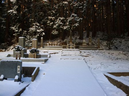墓地のここで道が終わってるけど地図では右なので右の樹林帯の中に入っていく