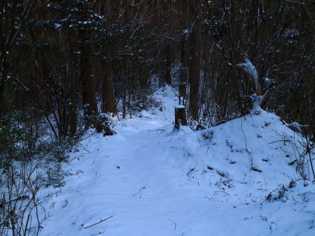トレースはないけど踏み跡があるので道はわかりやすい