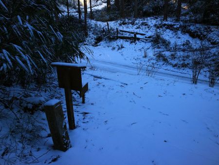道路まで下りてきた。直進にも道があるけどここを右へ少し道路を歩く