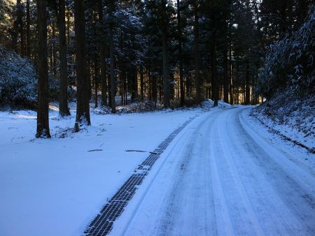 道路をちょっと歩くと左側へ入るところがあるので、ここを左へ行く