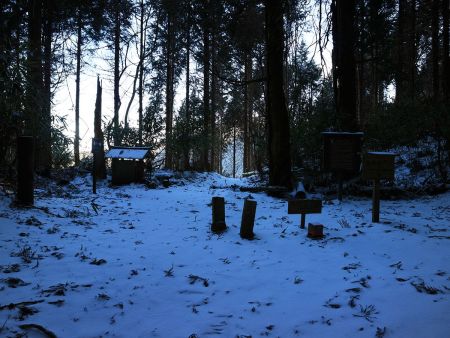 子継峠の分岐に到着。ここでどう行こうか考えたけど時間はたっぷりあった