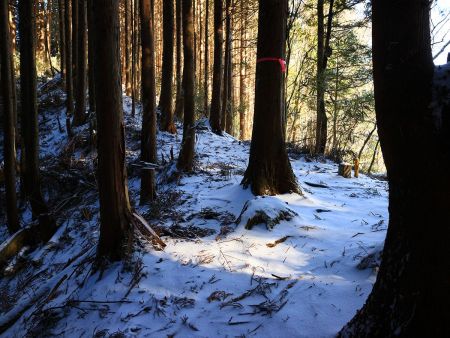 尾根に出た。左が雪池山で戻ったらこのまま右側の尾根を登る
