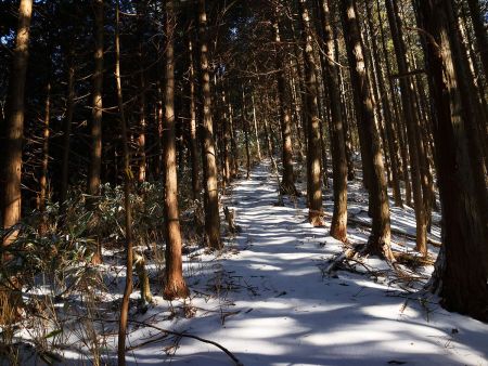 雪池山への登り。ちょっと急登だけど距離が短くて歩きやすいのであまりしんどくなかった