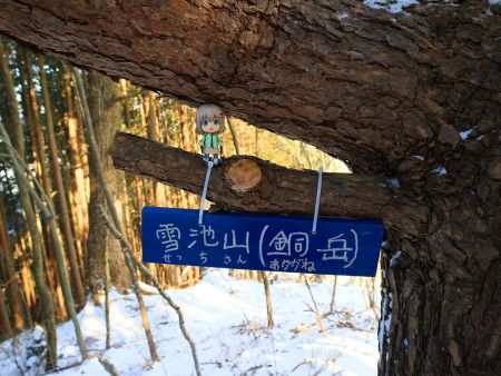 せっかくなので雪村あおいちゃんを撮影しておいた。雪池山（せっちさん）というのと銅岳とも呼ばれているのかな！？