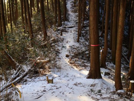 戻って今度は楊柳山へ向かって尾根を登っていく。ここからの登りがちょっとした急登だった
