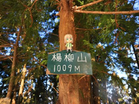 ここでも雪村あおいちゃんを撮影しておいた。最初の転軸山だけは撮影しなかったのが心残りかな