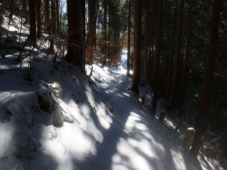 ここのトラバースも細くてアイゼンがなかったら滑りやすいと思われる。積雪量は少ないけど雪下の根っことかに引っかかったらヤバイ