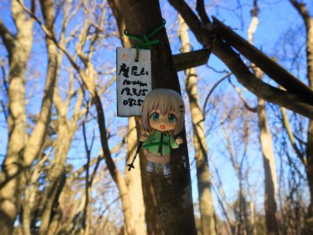 なんとかこのプレートで雪村あおいちゃんを撮影しておいた
