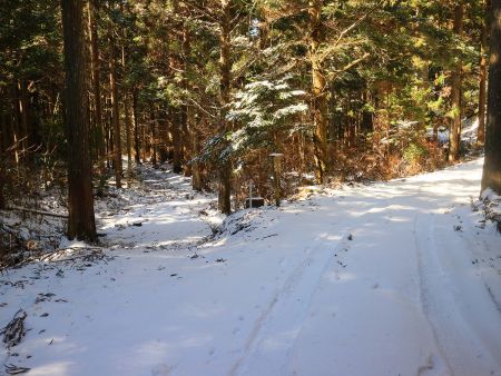 ここで看板は右側の林道を歩いていくように指示されているが、地図を見ると左というか写真では直進だったので左側の道を行く