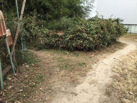 左は池を周回するルートなのでまっすぐ