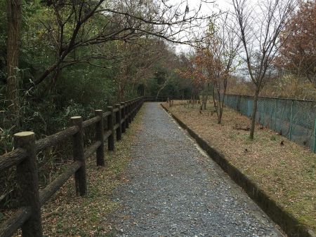 整備された道が続く