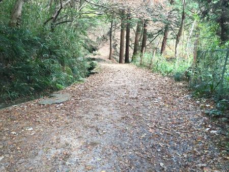 道路が終わった